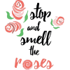 roses - Testi - 