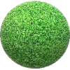 round grass - Plantas - 