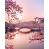 sakura in japan - Natureza - 