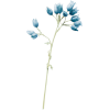Plants Blue - 植物 - 