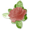 Plants Pink Flower - Rośliny - 
