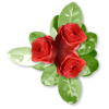 Plants Red Flower - Piante - 