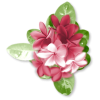 Plants Pink Flower - Biljke - 