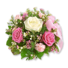 Plants Pink Flower - Piante - 