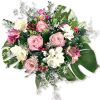 Pink Plants Flower - Rośliny - 