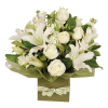Flowers White Plants - Piante - 