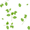 Flowers Green Plants - Rastline - 