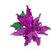 Flowers Purple Plants - Rastline - 