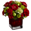 Flowers Red Plants - Rastline - 