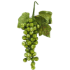 The figure of grapes - Items - 
