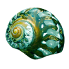 sea snail - Animals - 