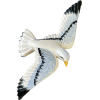 seagull wall ceramic french 1930s - Objectos - 