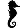 seahorse illustration - Illustrations - 