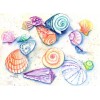 seashell watercolor - Uncategorized - $129.00 