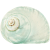 shell - 自然 - 