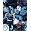 shells - Nature - 
