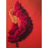 flamenco - Moje fotografije - 