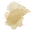 skr 35458624 - Šalovi - 
