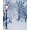 snow - Природа - 