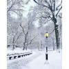 snow - Natureza - 