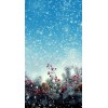snow background - Ozadje - 