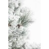 snow background - Pozadine - 