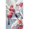 snow birds - Tiere - 