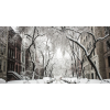 snow city photo - Uncategorized - 