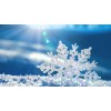 snowflake - Nature - 