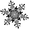 snowflake illustration pixabay - Rascunhos - 