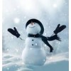 snowman - 饰品 - 