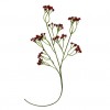 sonia - Sciarpe - 