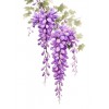 sonia - Cachecol - 