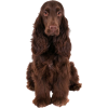 spaniel dog - Животные - 
