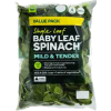 Spinach  - Legumes - 