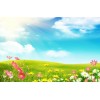 spring - Background - 