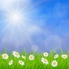 spring background - Ozadje - 