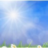 spring background - Фоны - 