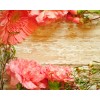 spring background - Objectos - 