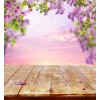 spring background - Priroda - 