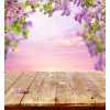 spring background - 自然 - 