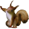 squirrel - Животные - 