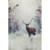 stag in the snow - Životinje - 