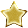 star - Uncategorized - 
