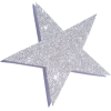 star - Uncategorized - 