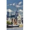 st paul cathedral view from the Thames - Edifici - 