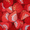 strawberries  drawing strawberry cut - Uncategorized - 