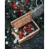 strawberry picking photo - Uncategorized - 