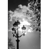 street light Paris black & white photo - Uncategorized - 