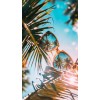 summer - Items - 